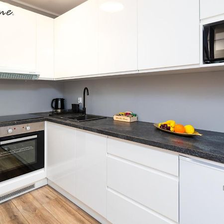 Wonder Home - Apartamenty W Sercu Karpacza, Blisko Deptaka I Terenow Zielonych Buitenkant foto